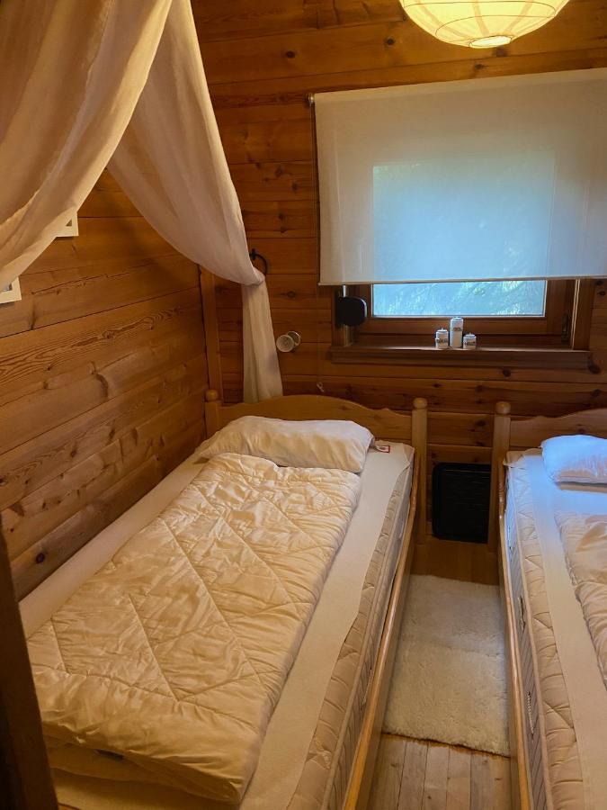 Blockhaus Ferienzauber Villa Bromskirchen Ngoại thất bức ảnh